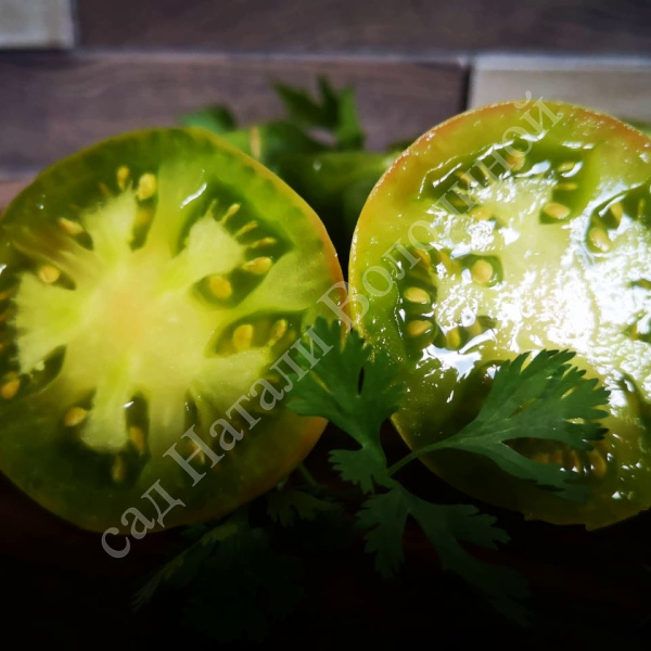 Томат Dwarf Jade Beauty (Гном Нефритовая Красота) 