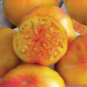 Томат Старый немецкий (Old German)