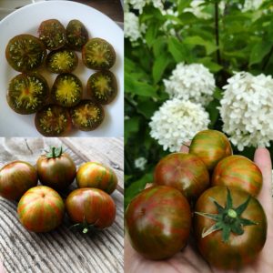 Томат Aftershock(Афтершок)