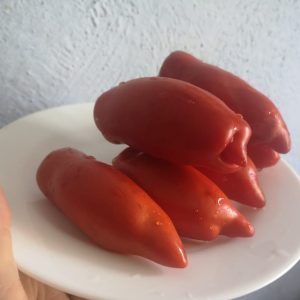 томат Андин