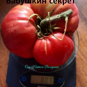Томат БАБУШКИН СЕКРЕТ
