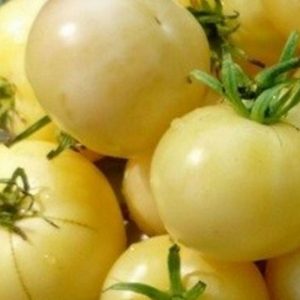 Томат Белое сердце Киля