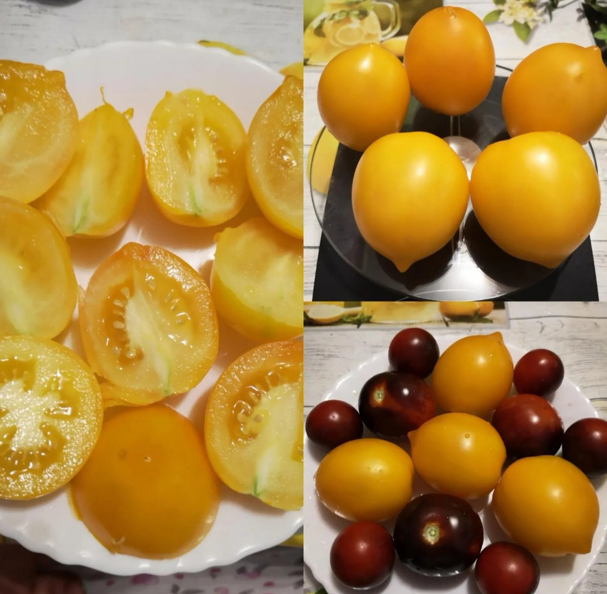 Томат Цитрина Citrina