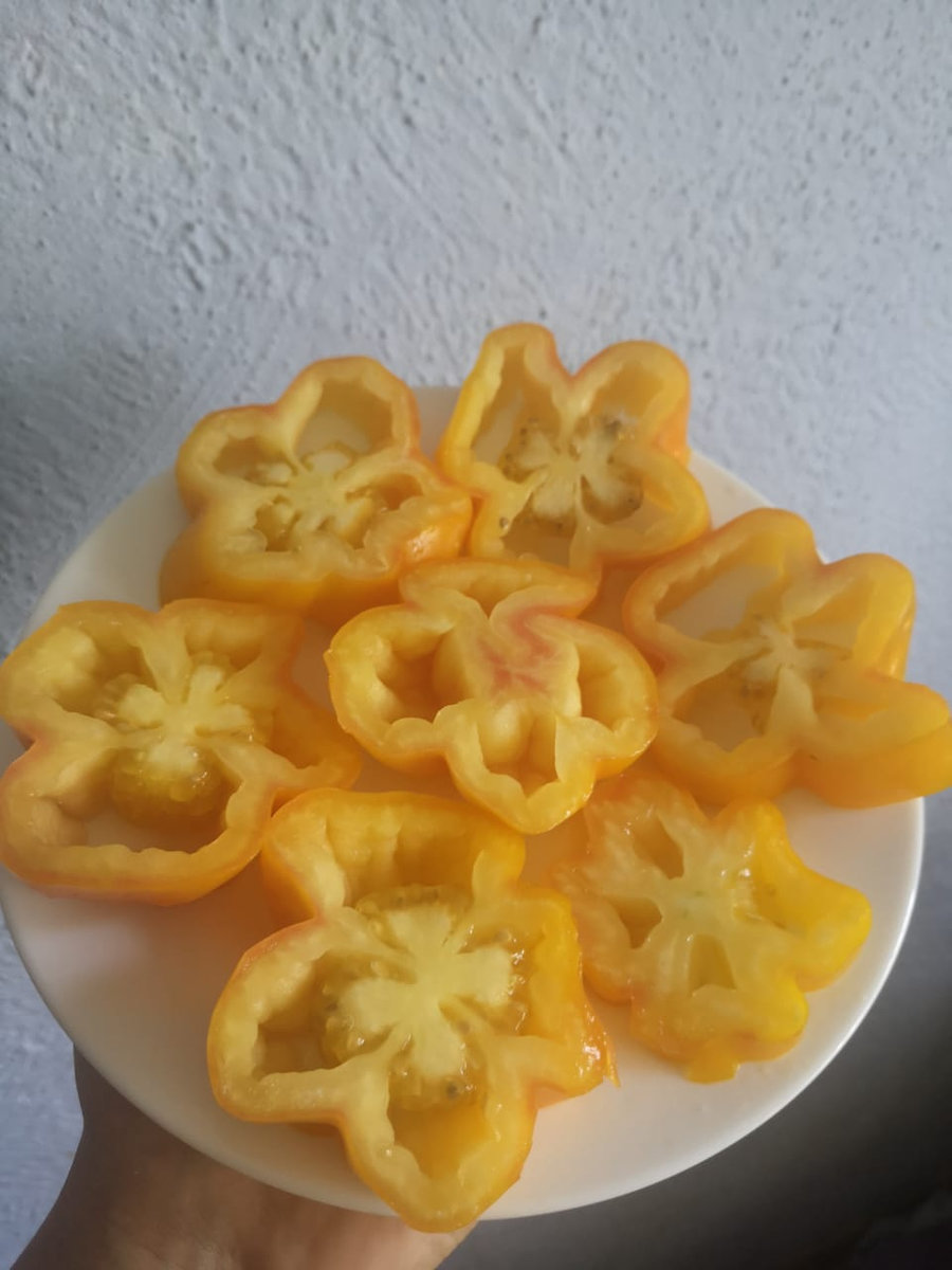 Томат Драпированный Drapée