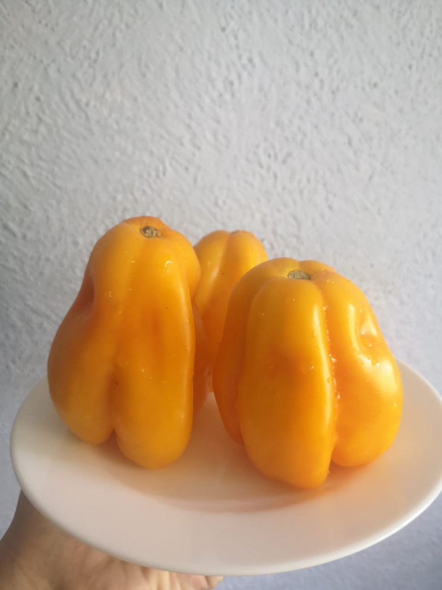 Томат Драпированный Drapée