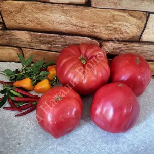 Томат Гигант Лары