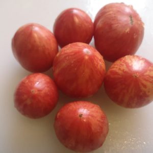 Томат Dwarf Striped Balcan Tiger (Гном  Полосатый Балканский Тигр)