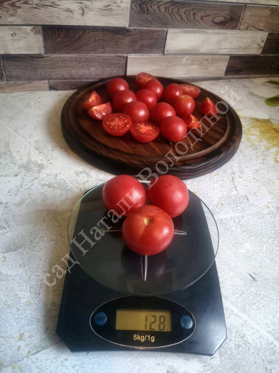 Томат Гном Розовый опал (Dwarf Pink Opal) Бельгия