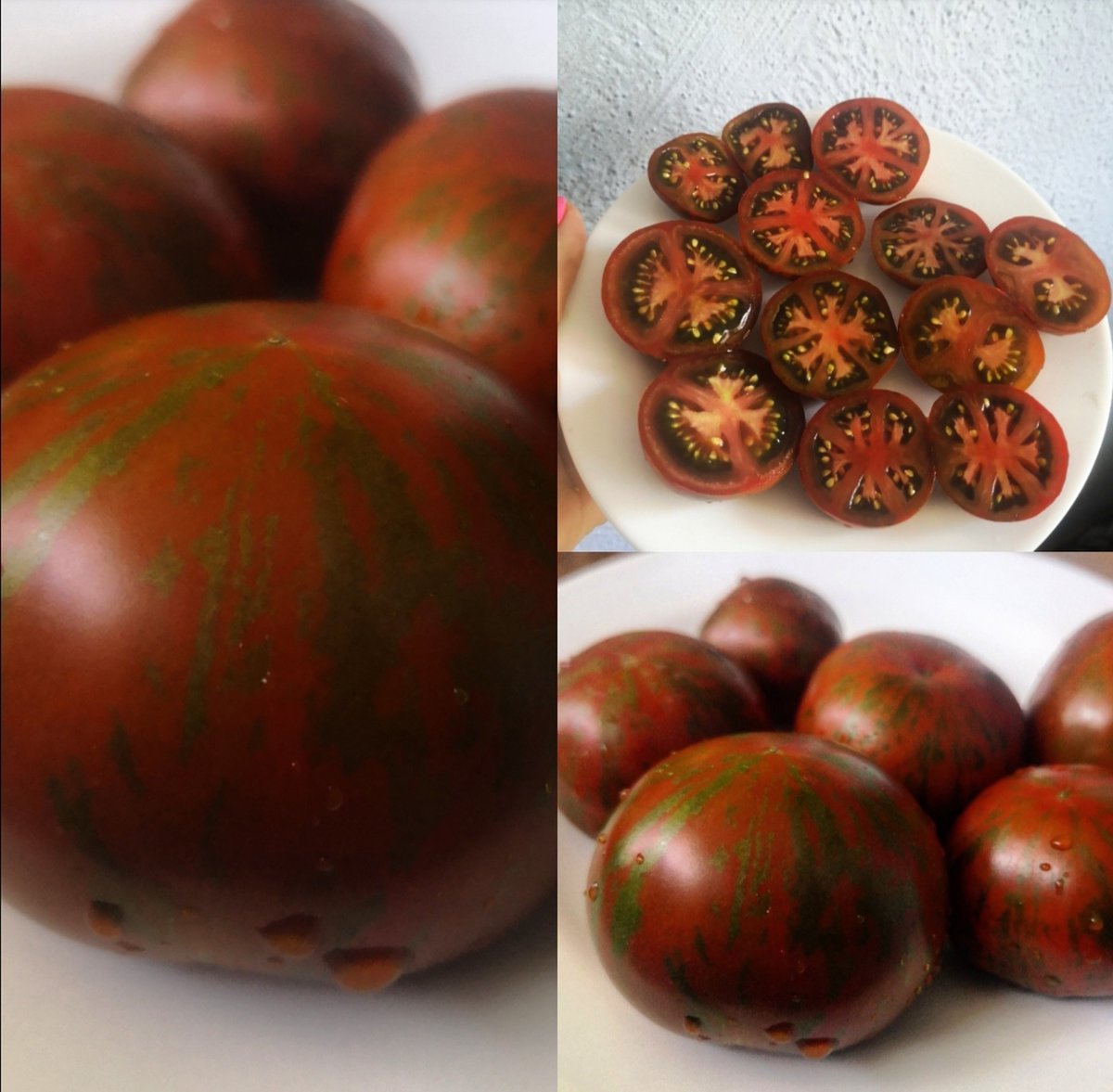 Томат Sarandipity(Гном Сарандипити)