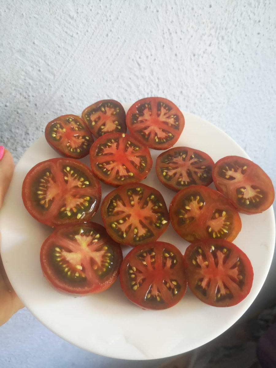 Томат Sarandipity(Гном Сарандипити)