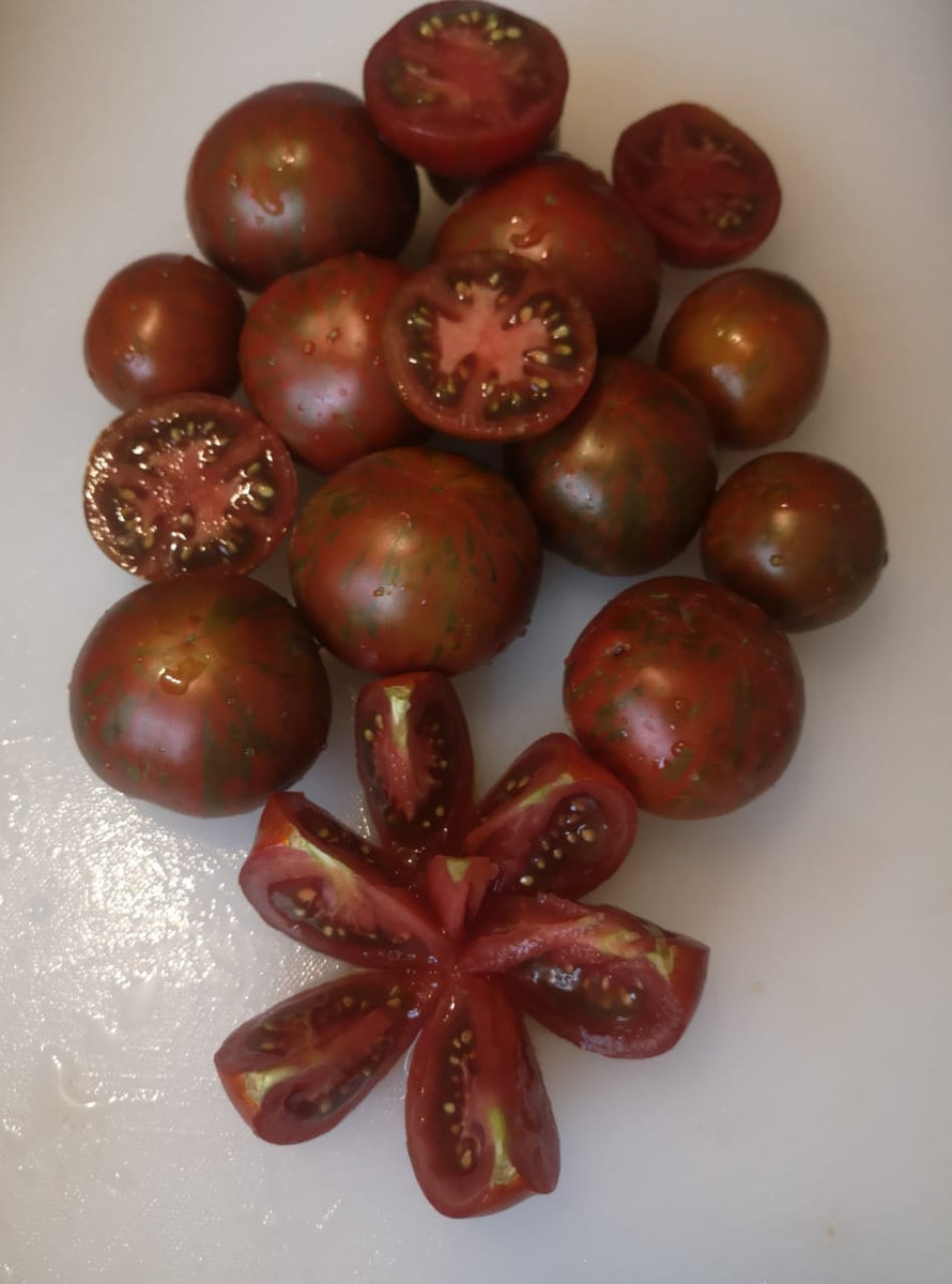 Томат Sarandipity(Гном Сарандипити)