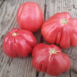 Томат Инжир розовый