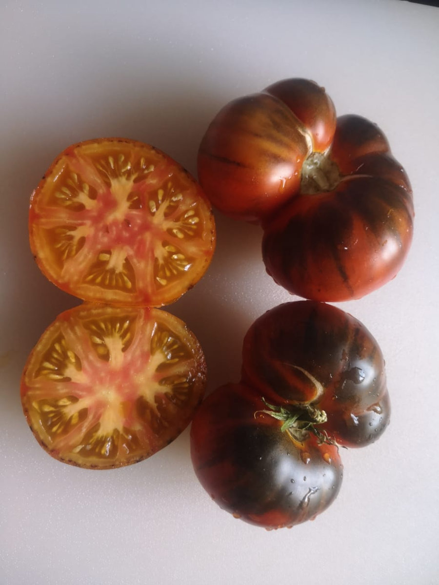 Томат Король красоты (P-20 + Beauty King)