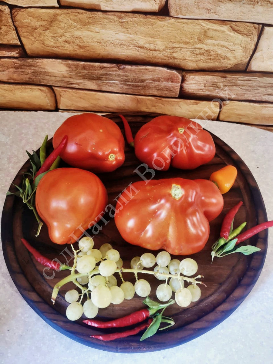 Томат Lambada(Ламбада)