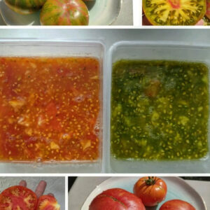 Томат Лимонные Полосы Чероки (Cherokee Lime Stripes)США