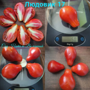 ТОМАТ ЛЮДОВИК 17