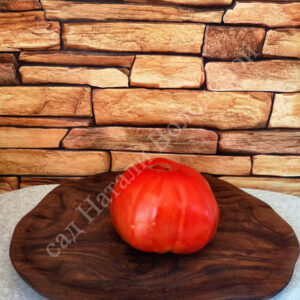 Томат Немецкое бычье сердце Гомера