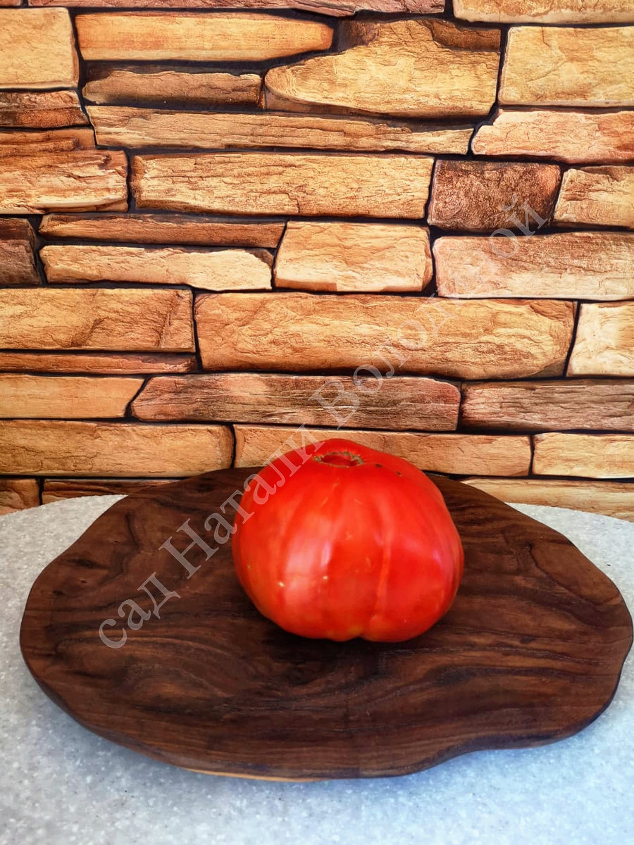 Томат Немецкое бычье сердце Гомера