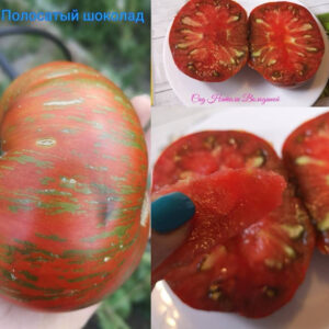 Томат Полосатый шоколад (Striped chocolate) США