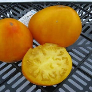 Томат Самохвал