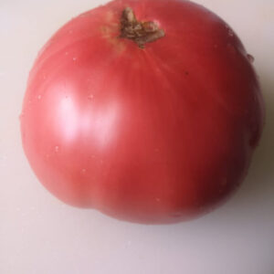 Томат Семипалатинский
