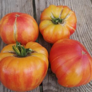 Томат Шен фас Аха