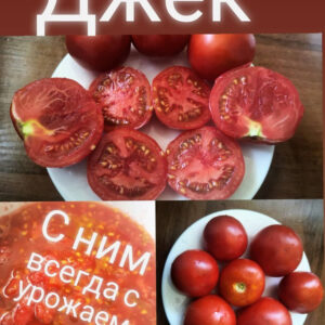 Томат Толстый Джек