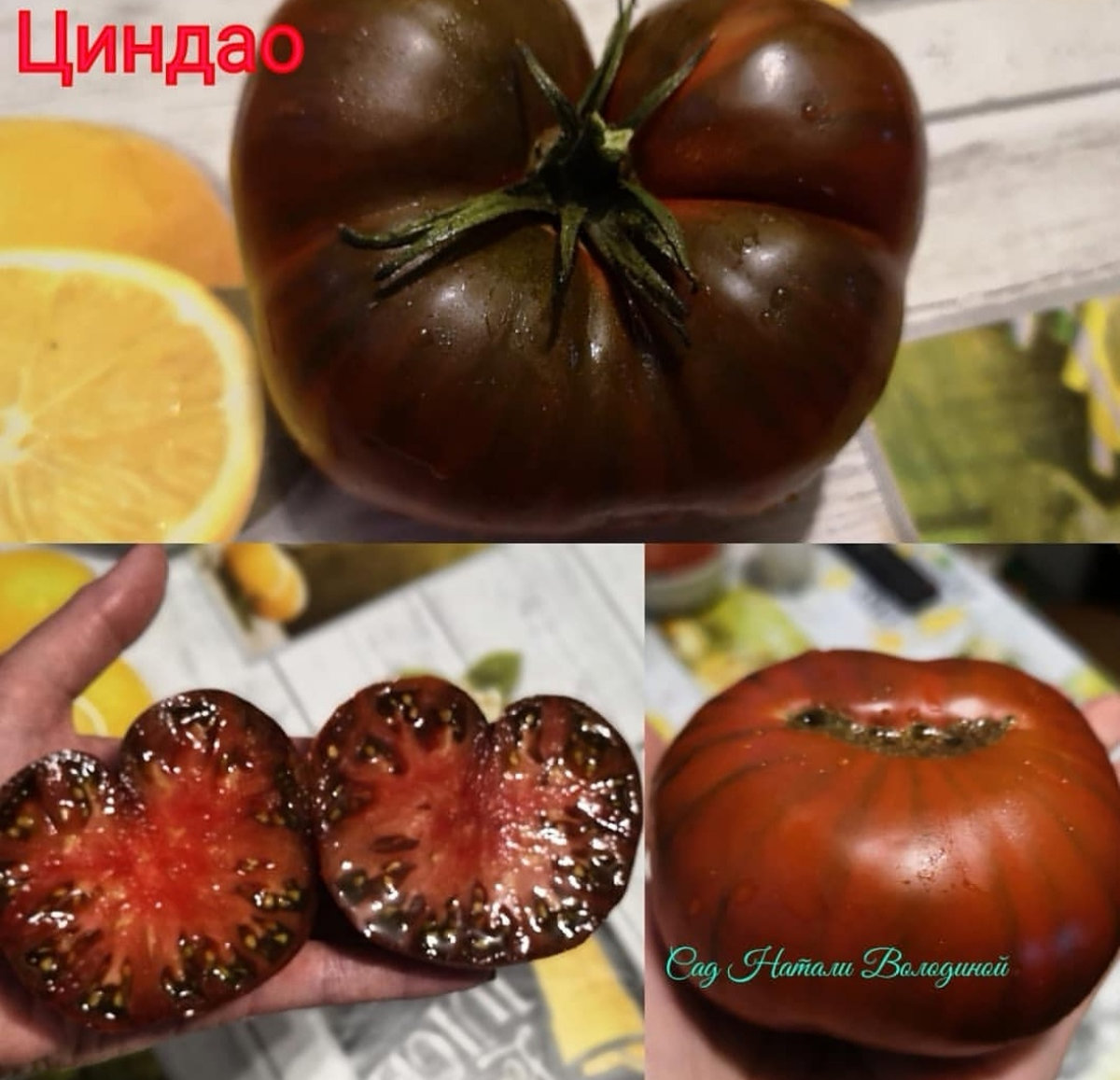 Томат Циндао