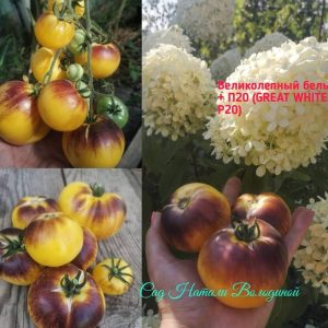 Великолепный белый + П20