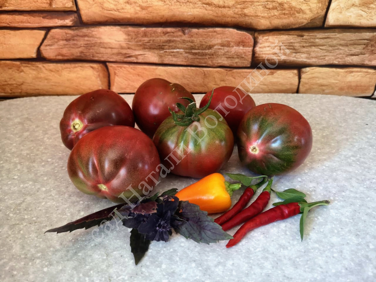 Томат Винный кувшин (Wine Jug)