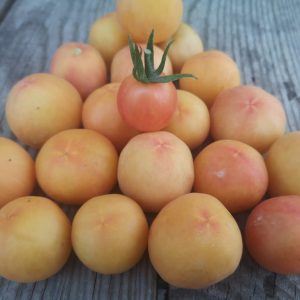 Томат Волшебный Маризол. (Marizol Magic)