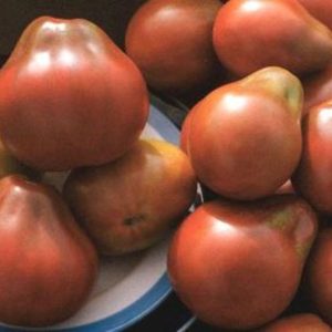 Томат  Японский трюфель