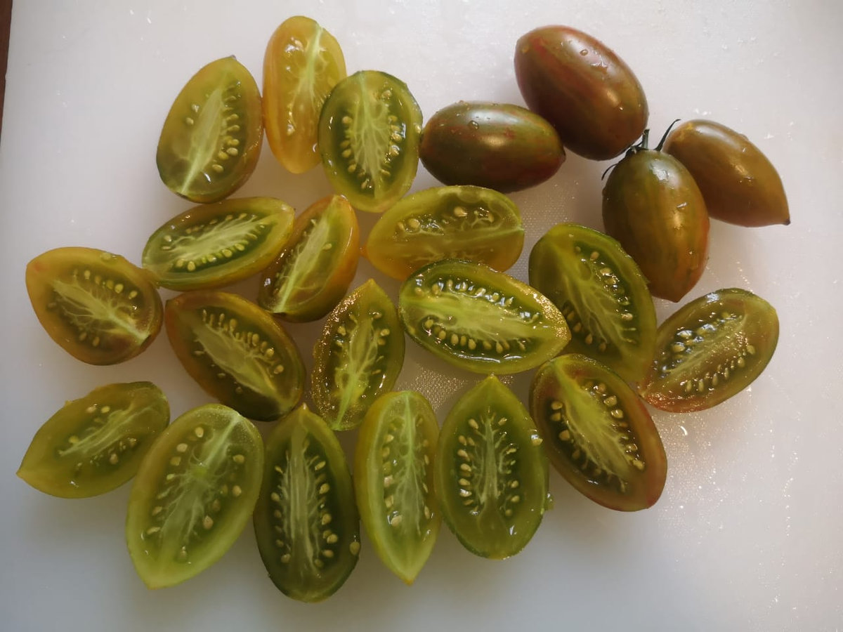 Томат Зуб кабана (Boar’s Tooth)