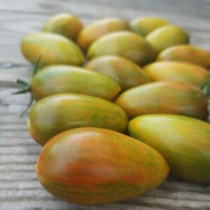 Томат Зуб кабана (Boar’s Tooth)