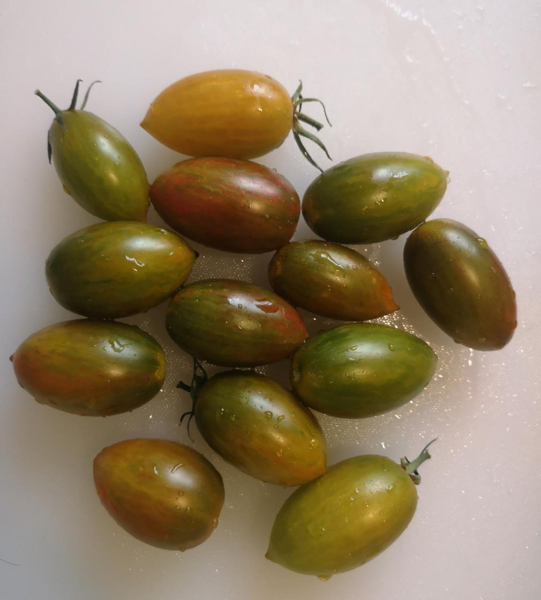 Томат Зуб кабана (Boar’s Tooth)